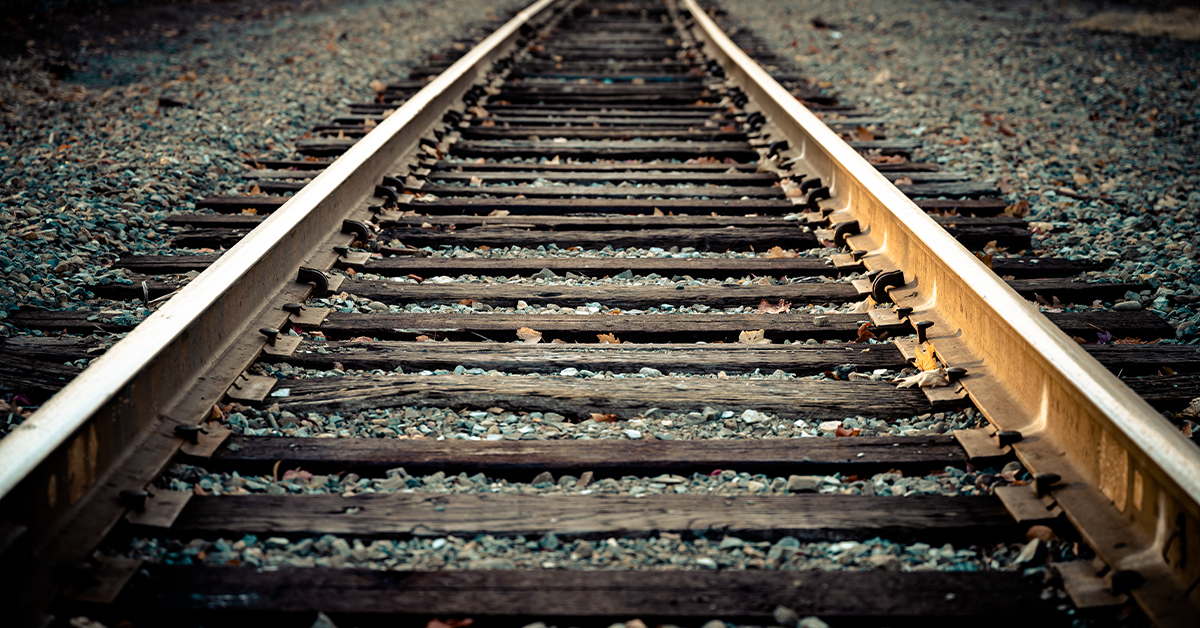 Spotted on the Train